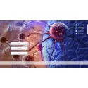 (Français) Biophilia Tracker X4 Max Machine de biorésonance 4D - Aura Chakra Healing